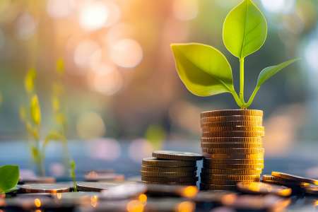 Foto: Pflanze wächst aus Münzstapel